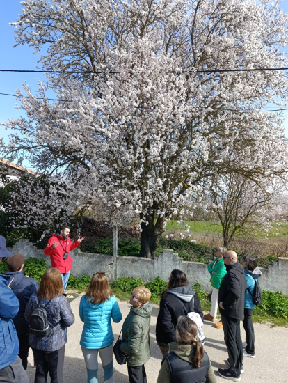 'Caminos en flor' para redescubrir la provincia de Burgos