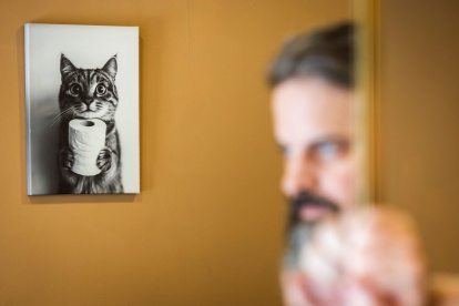 Cafelinos, el primer café con gatos de Burgos y uno de los pocos que hay en España.