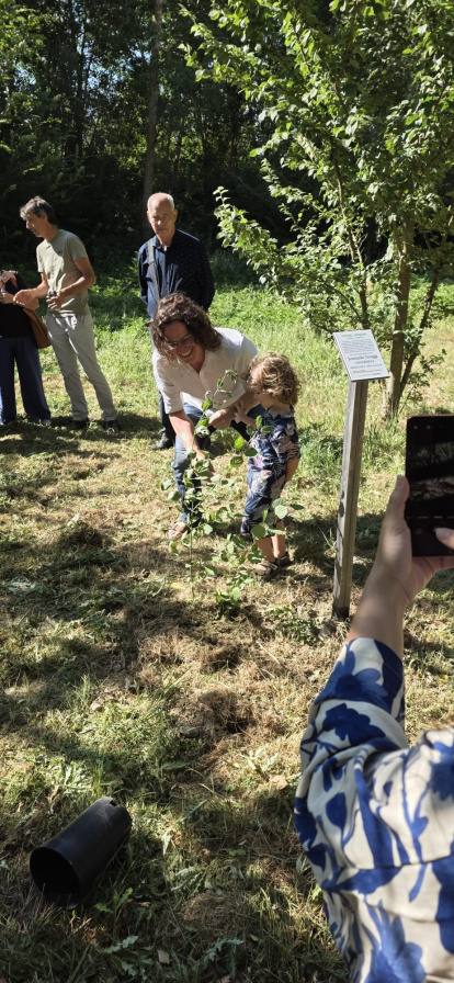 Imagen de la plantación impulsada por Música Callada.