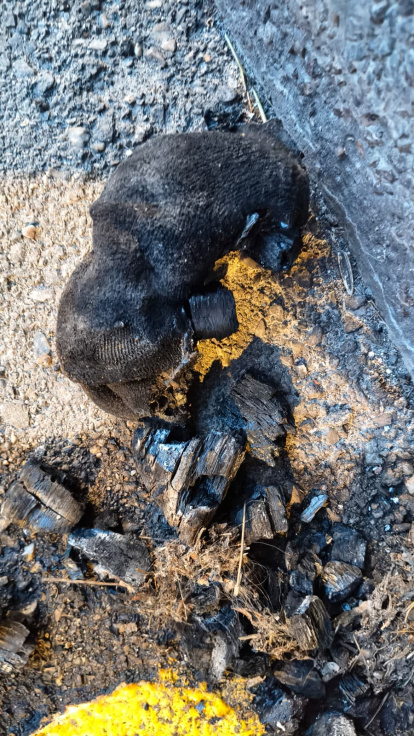 Restos del cóctel molotov localizado en Pradoluengo.