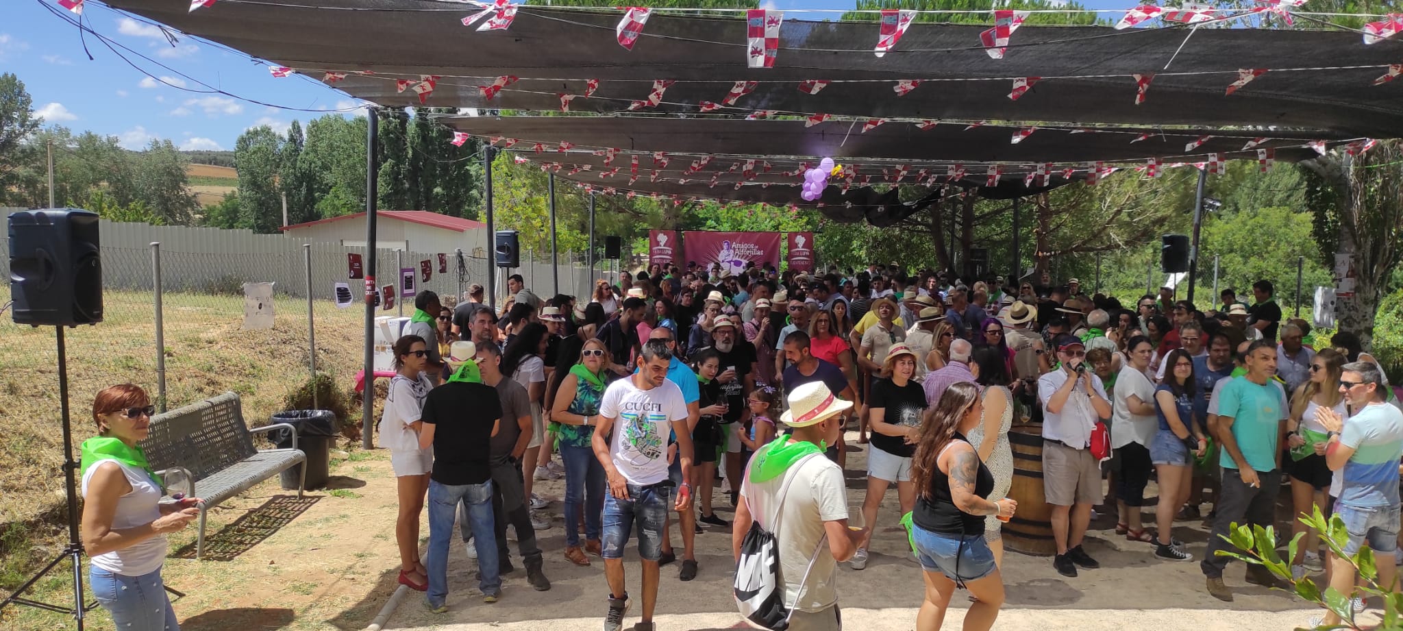 Imagen de un momento de la Fiesta de la Uva de Fuentenebro