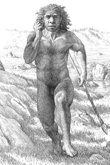 Antecessor, era un atleta. Un estudio refleja sus lesiones compatibles con un corredor. Y esta es la ilustración original de hace unos años elaborada por un ilustrador científico.